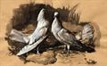 Lot 775 Image