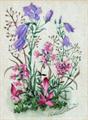 Lot 797 Image
