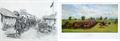 Lot 807 Image