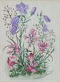Lot 24 Image