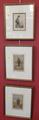 Lot 9 Image