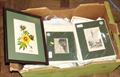 Lot 34 Image