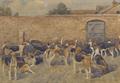 Lot 12 Image