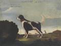 Lot 16 Image