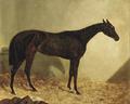 Lot 21 Image