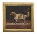 Lot 7 Image