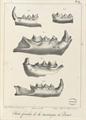 Lot 3 Image