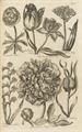 Lot 9 Image