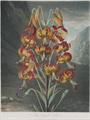 Lot 16 Image