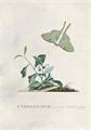 Lot 24 Image