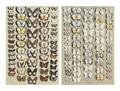 Lot 26 Image