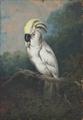 Lot 30 Image