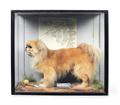 Lot 14 Image