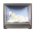 Lot 15 Image