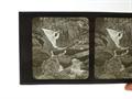 Lot 193 Image