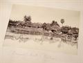 Lot 339 Image