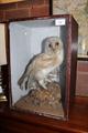 Lot 755 Image
