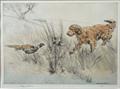 Lot 34 Image