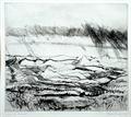 Lot 8 Image