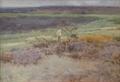 Lot 31 Image