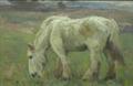 Lot 4 Image