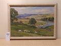 Lot 4 Image