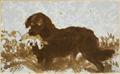 Lot 1359 Image