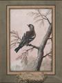 Lot 1360 Image