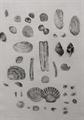 Lot 466 Image