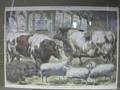 Lot 467 Image