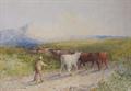 Lot 482 Image