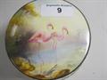 Lot 9 Image