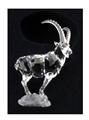 Lot 18 Image