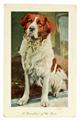 Lot 1009 Image
