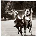 Lot 944 Image