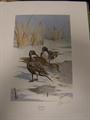 Lot 23 Image