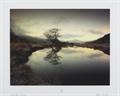 Lot 16 Image