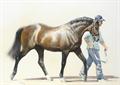 Lot 2 Image