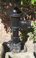 Lot 611 Image