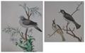 Lot 182 Image