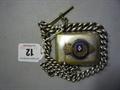 Lot 12 Image