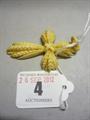 Lot 4 Image