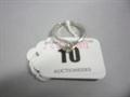 Lot 10 Image