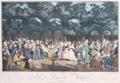 Lot 47 Image