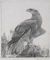Lot 49 Image