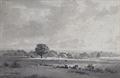 Lot 71 Image