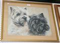Lot 25 Image