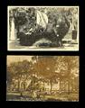 Lot 3067 Image