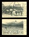 Lot 3082 Image