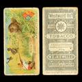 Lot 3125 Image